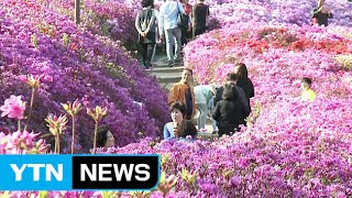 [날씨] 내일 충청·남부 비…곳곳 천둥·번개 / YTN