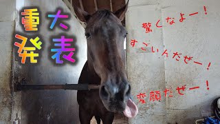 あーこっこ乗馬日記〜重大発表？？　オイラは経路の練習をしたぜ！