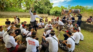 BALEGANJUR NGARAP GEDIG SAMUR | NGABEN Alm. DESAK PUTU WINTEN ABIANBASE KAJA KAUH GIANYAR