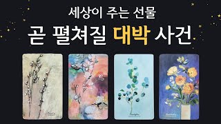 [타로] 세상이 당신께 주는 대박 선물 🎁펼쳐질 미래 가능태 선택하기.