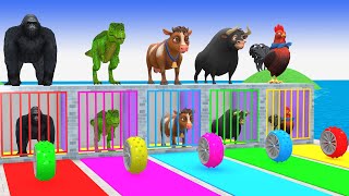 Long Slide Game With Elephant Gorilla Buffalo Hippopotamus Tiger 3d Animal Game Funny 3d Animals