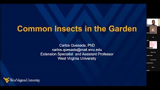 "Common Insects in the Garden" (Throwdown Thursday 3-28-24)