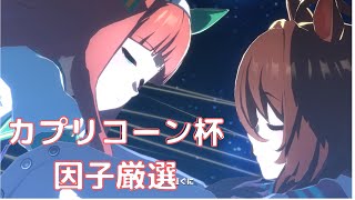 [ウマ娘]カプリコーン杯短距離の因子周回、今マキバオーがグリーンチャンネルでやってるから見ようね。