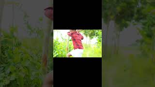 batpar fokir #গিরগিটিfans #funniestvideo #comedy #girgitifans #funnycomedy #funnyclips