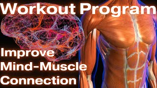 4wk Program to Improve Mind Muscle Connection