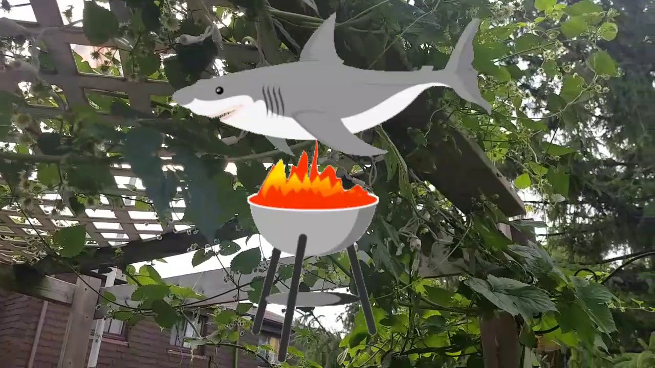 Grilled Shark Steaks Youtube