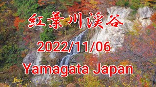 山形県 面白山 紅葉川渓谷の紅葉です。