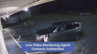 ANT CAR ALARM 30X LOUDER THAN A NORMAL CAR!