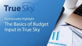 True Sky Functionality Highlight - Layout and Data Input