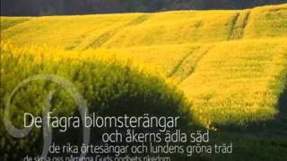 Swedish Hymn #199 Den blomster tid nu kommer