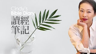 讀經筆記 Cindy's Bible Diary I 頻道介紹 Intro