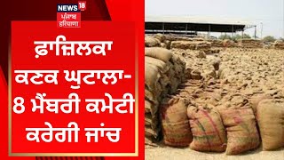 Fazilka ਕਣਕ ਘੁਟਾਲਾ- 8 ਮੈਂਬਰੀ ਕਮੇਟੀ ਕਰੇਗੀ ਜਾਂਚ | News18 Punjab