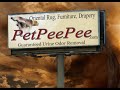 State of Arkansas Oriental rug urine odor removal & cleaning | By The PetPeePee company