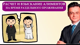 Как материально обеспечить себя. Получение и расчет алиментов в период раздельного проживания