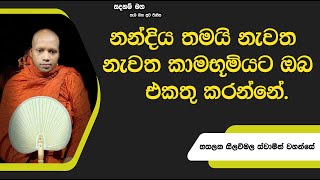 නන්දිය තමයි නැවත නැවත කාමභූමියට ඔබ එකතු කරන්නේ.2539Ven Hasalaka Seelawimala Thero