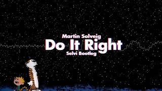 Martin Solveig - Do It Right (SelVi bootleg)