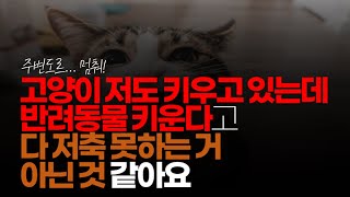 (※시청자댓글) 고양이 저도 키우고 있는데 반려동물 키운다고 다 저축 못하는 거 아닌 것 같아요. 저는 고양이 키우면서 저축해서 아파트 사고 그랬는걸요.