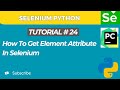 Selenium WebDriver with Python tutorial 24 | Get Element Attribute value in Selenium WebDriver