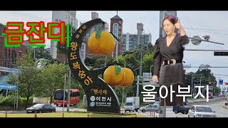 [금잔디] 장호원 햇사레복숭아축제#울아부지 신사랑고개 오라버니