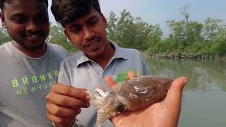 আজ ছিড়লো বড়শির দড়ি তবুও মাছ ধরলাম ঝুড়িঝুড়ি!!! sundarban vlog