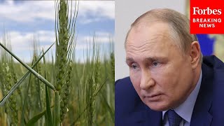 Russia Terminates Key Black Sea Grain Deal With Ukraine—Threatening Global Food Supply