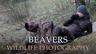 PHOTOGRAPHING BEAVERS - Wildlife Photography Vlog