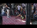 justin gonzales kyokushin fight academy vs jeho saba wolf pack mma