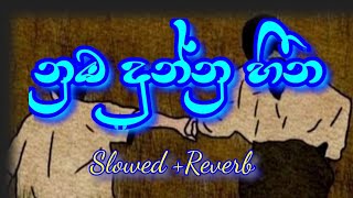 Nuba Dunnu  Hina | නුඹ දුන්නු හීන | Slowed And Reverd New sinhala Song