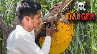 मधुमक्खी भगाने का सही तरीक़ा || The right way to get rid of bees 🐝