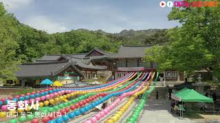 Daegu Donghwasa(Donghwa Temple) | Korea Travel