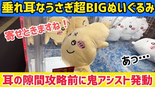 【ちいかわ】垂れ耳なうさぎ超BIGぬいぐるみ！狙い目は耳の隙間…攻略するまえにROUND1鬼アシスト発動【クレーンゲーム】