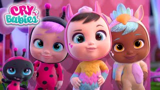 Together We Will Win 🏆 Cry Babies Magic Tears 💧 Kitoons New Friends | Cartoons for Kids in English