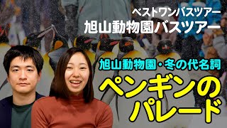 ペンギンのパレード！『北海道発・旭山動物園バスツアー』のご紹介【2022年1月配信・国内旅行専門チャンネル】