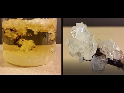 Grow Crystals From Sugar (Crystal Candy) Grow Crystals From Sugar (Crystal Candy)