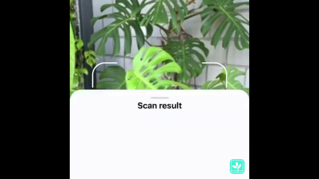 Plant Identification App PlantoScan