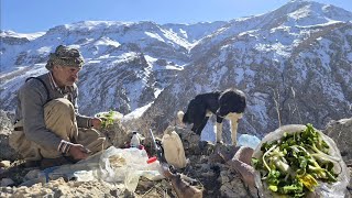 Iran nomadic life: Jahangir's journey to Sardsir to bring wild plants