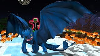 COMO TREINAR SEU DRAGÃO E LIBERAR O PODER MÁXIMO NO MINECRAFT