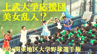 美女軍団 上武大学応援席に乱入　2024関東地区大学野球選手権　横浜スタジアム　2024.11.6