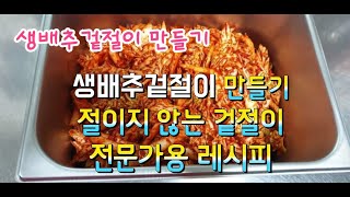 생배추겉절이/생배추무침/알배추겉절이/절이지 않고 깔끔하게 담그기