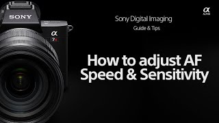 Sony | How To's | How to adjust autofocus speed and sensitivity for your Sony camera