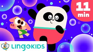 Let's move! 🙌  ABC Dance + More DANCE SONGS FOR KIDS 💃🎶| Lingokids