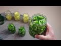 Canning Pickled Banana Pepper and Jalapeno Rings - Simple & Fast Recipe