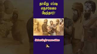 தாவீது எப்படி எருசலேமை பிடித்தார்||tamil bible facts