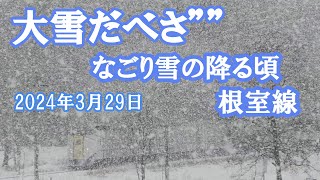 2024年３月29日　なごり雪の降る頃にしては大雪です　午後から雨の根室線にて