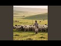 My shepherd