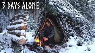 Finding Shelter in Snow! 3 Day WINTER Camping, Bushcraft Survival Shelter