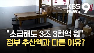 “소급해도 3조 3천억 원”…“소급 적용 반대” 정부 속내는? / KBS 2021.05.25.