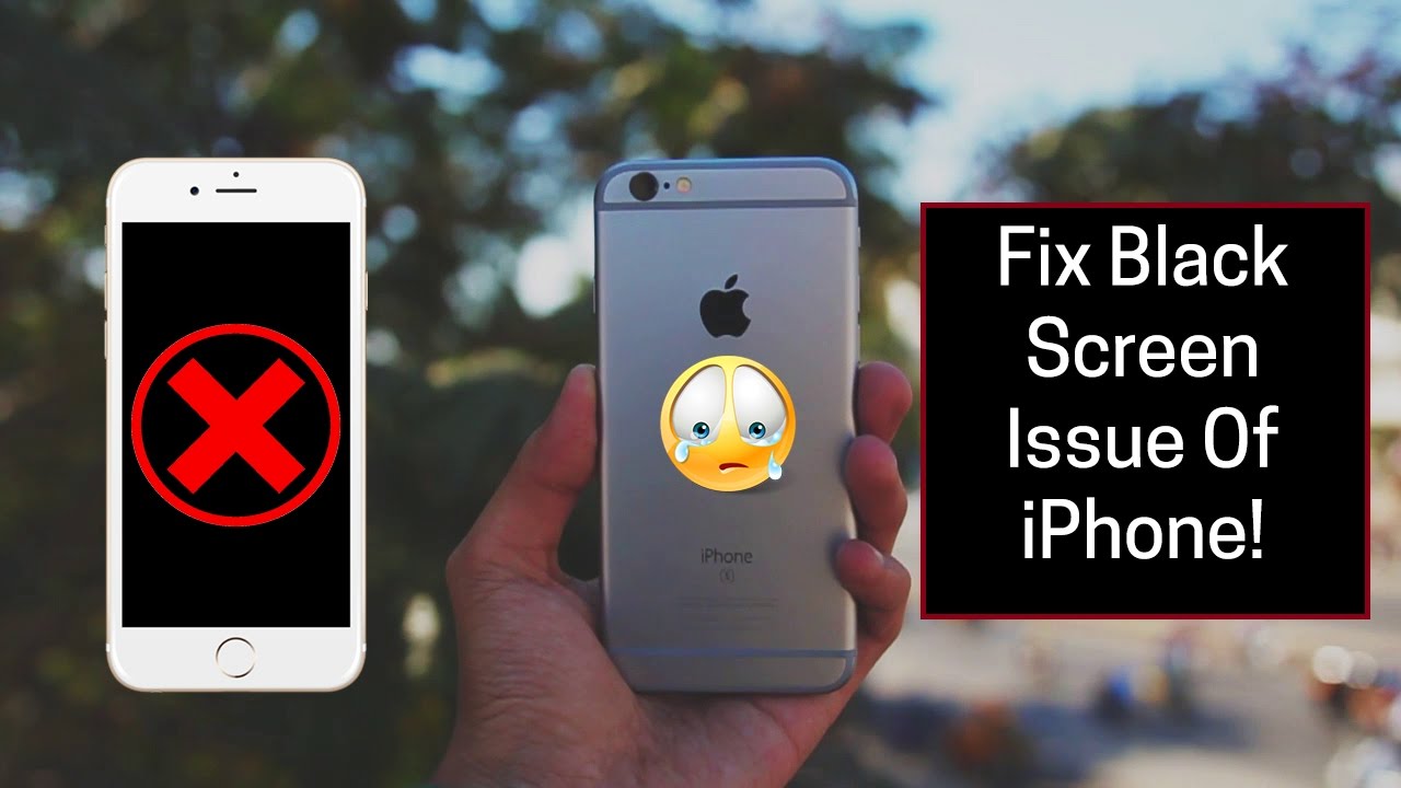 IPhone 6/6S/6 Plus/6S Plus: How To Fix Black Screen Issue | Display Won ...