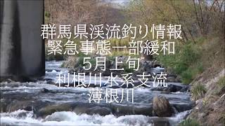 群馬県渓流釣り情報2020 5 上旬利根川支流薄根川中流域