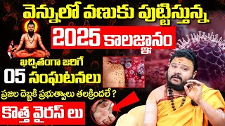 వెన్నులో వణుకు పట్టిస్తున్న 2025 కాలజ్ఞానం | Brahmam Gari Kalagnanam 2025 | #kalagnanamfacts